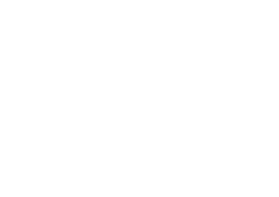 RoBoa